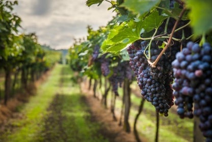 Caldwell ID Homes for Sale