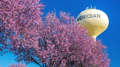 Meridian Idaho real estate and homes for sale