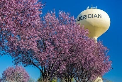 Meridian ID Homes for Sale