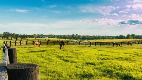 Star Idaho real estate